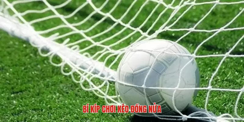 Chiến lược nên nắm vững khi chơi kèo đồng nửa