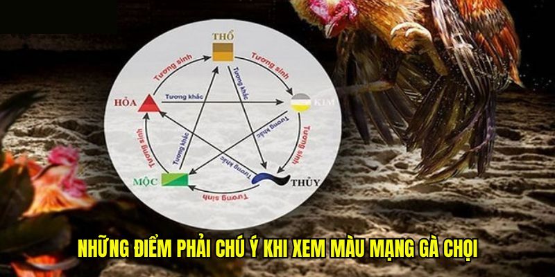 Những điểm phải chú ý khi xem màu mạng gà chọi