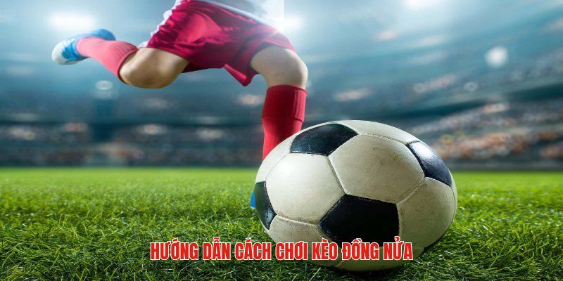 Cách chơi kèo đồng nửa chuẩn nhất 2025