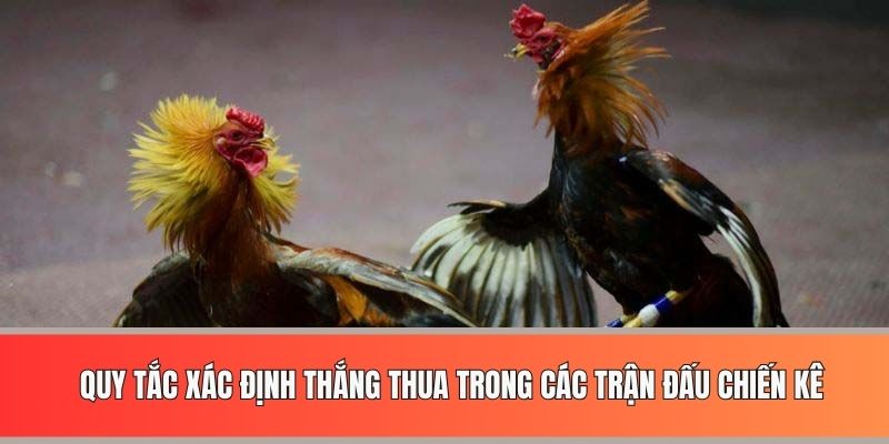 Quy tắc xác định thắng thua trong các trận đấu chiến kê