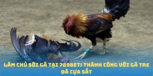 gà tre đá cựa sắt