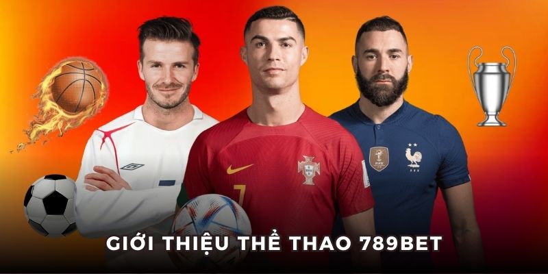 Giới thiệu sơ lược sảnh thể thao của nhà cái