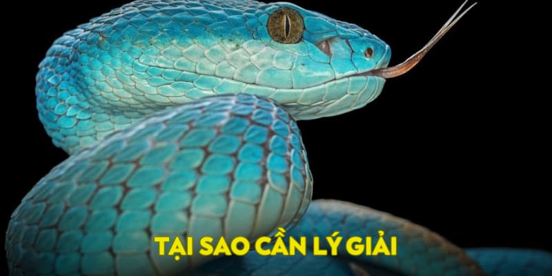 Lý do cần lý giải