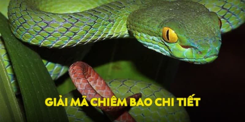 Cách giải mã chi tiết