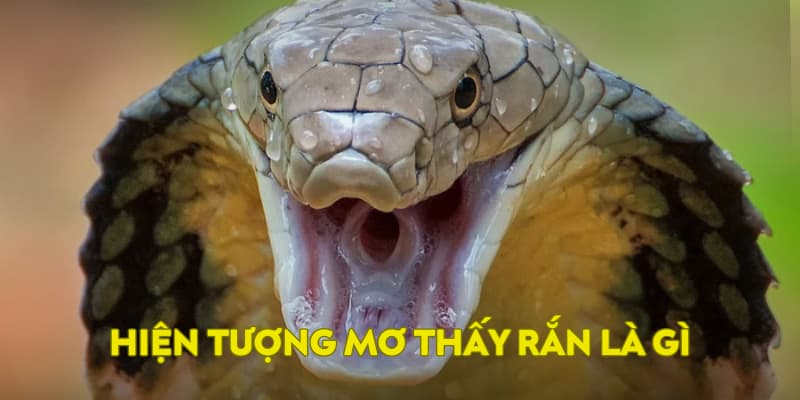 Thông tin về chiêm bao