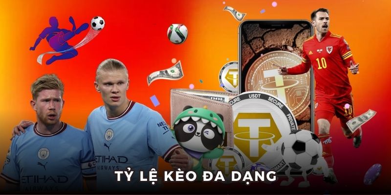 Nhà cái cung cấp đa dạng kèo cược sports